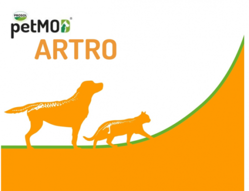 petMOD® ARTRO si rinnova: nuova formula anche per gatti