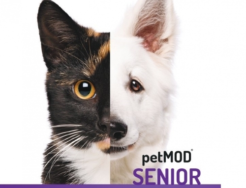 PetMOD Senior, l’integratore per cani anziani diventa anche per gatti