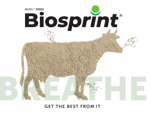 “Breathe”. The new Prosol campaign on live yeast Biosprint®